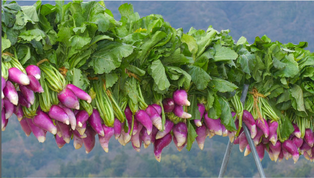 出雲野菜2