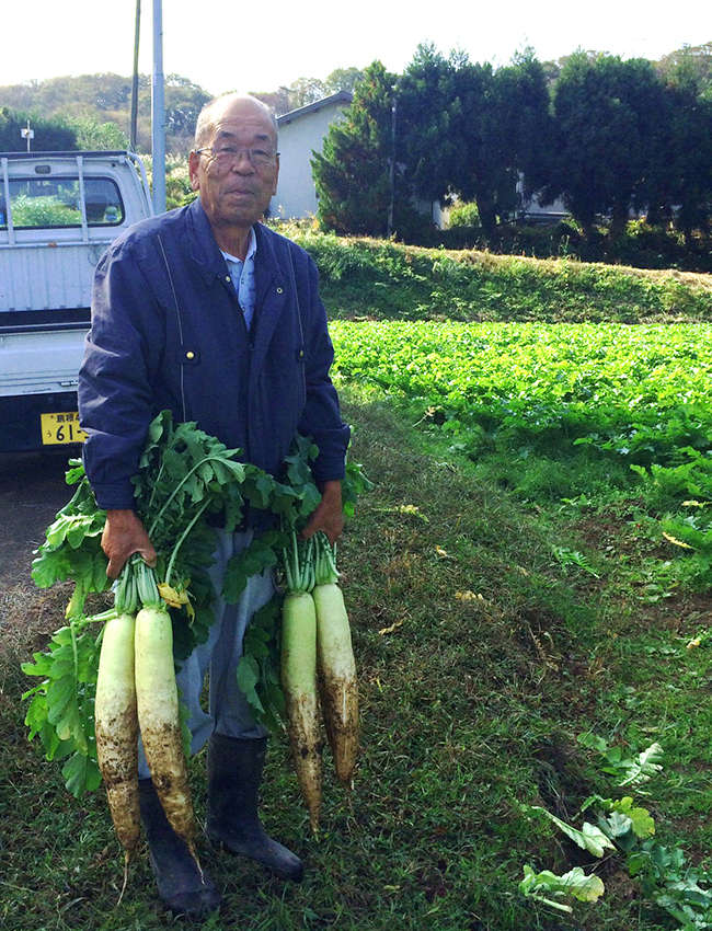 忌部大根を収穫する契約農家さん